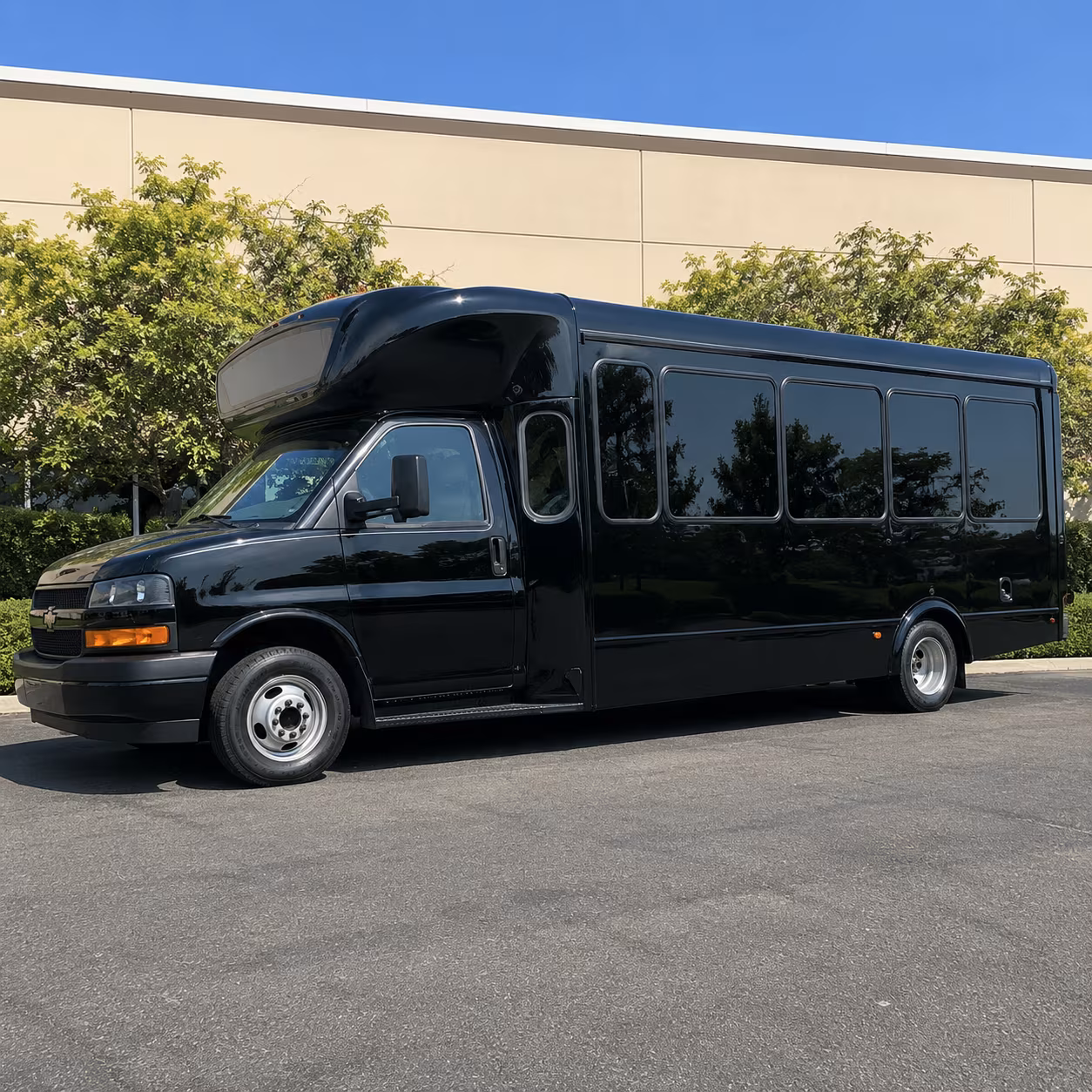 birthday party bus rental