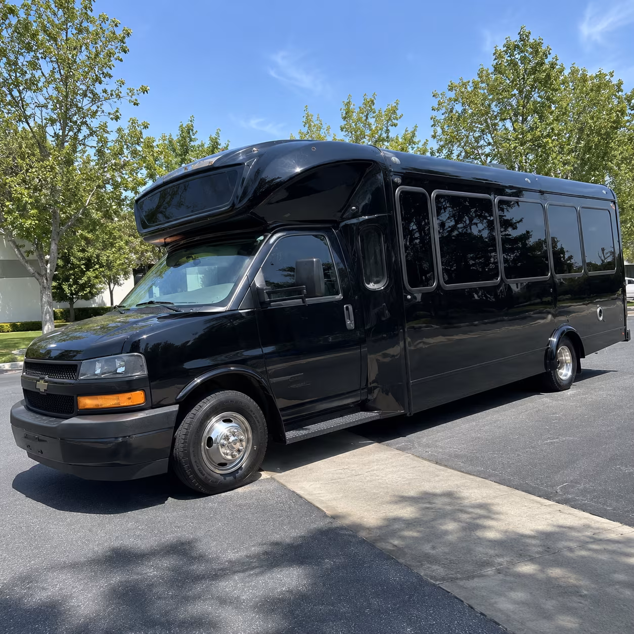 turlock 15 passenger party bus