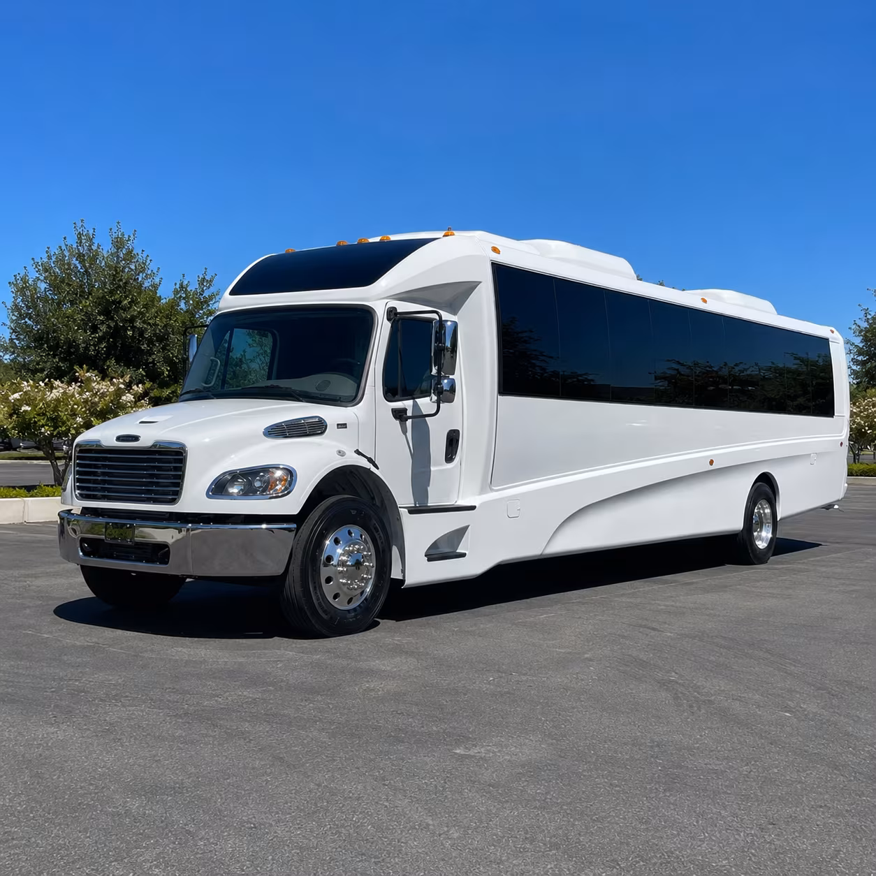 turlock 28 passenger minibus